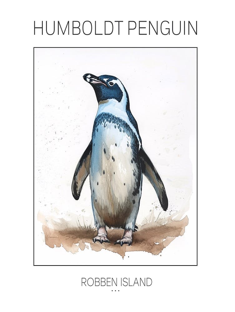 Humboldt Penguin Robben Island Watercolour Painting 2 Poster