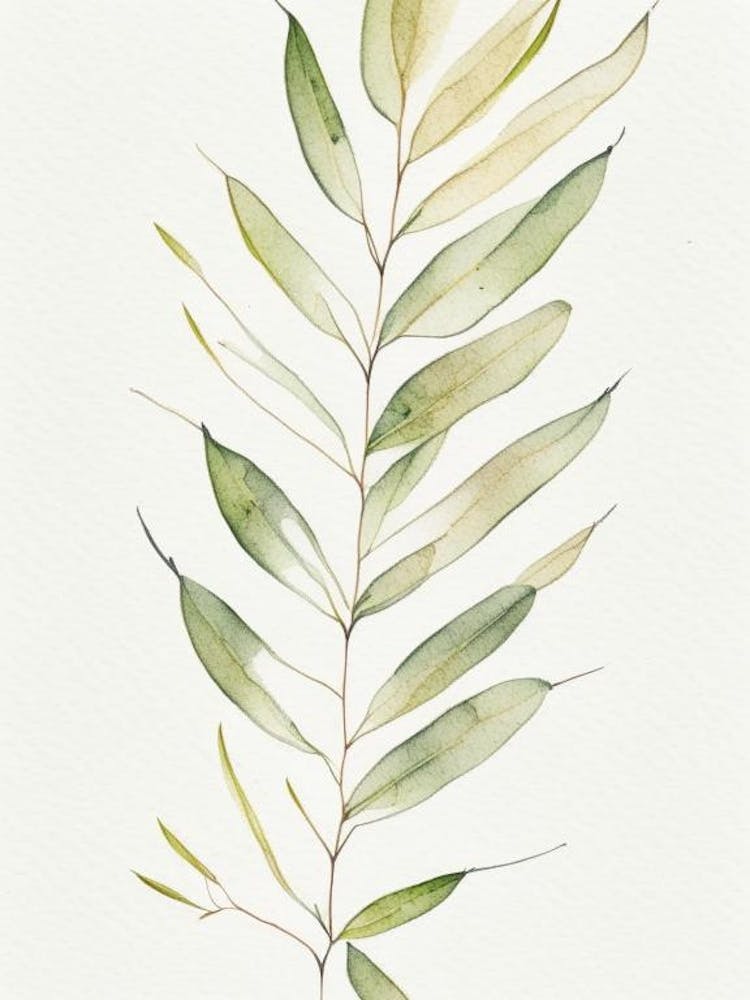 Willow Leaf Minimalist Watercolour 6