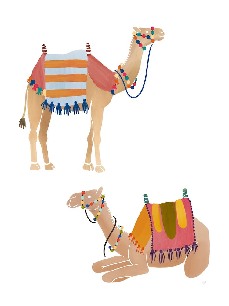 Camels