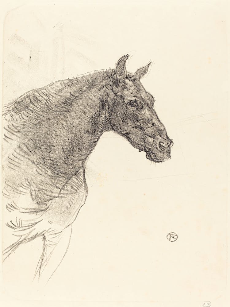 Old Horse (Le Vieux Cheval), (1897), 1, Henri de Toulouse-Lautrec