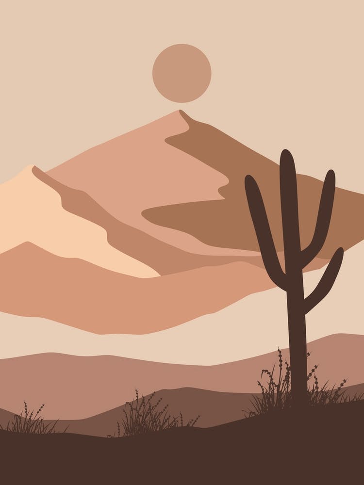 Cactus In The Desert 21