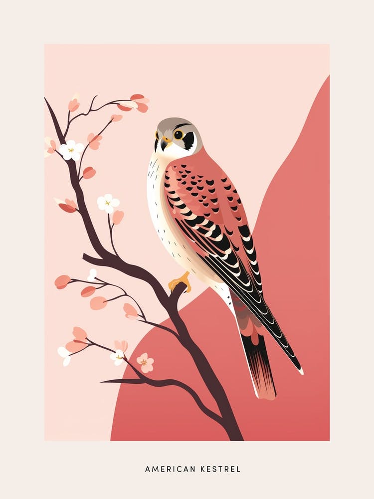 Minimalist American Kestrel 2 Bird Poster