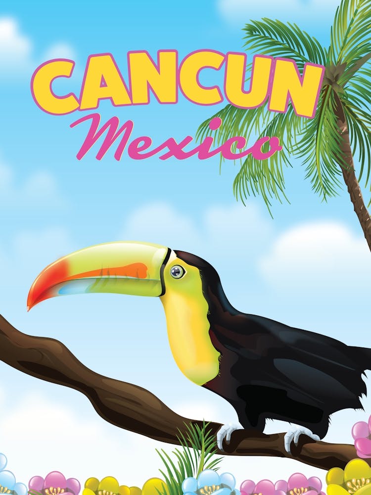 Cancun Mexico Toucan