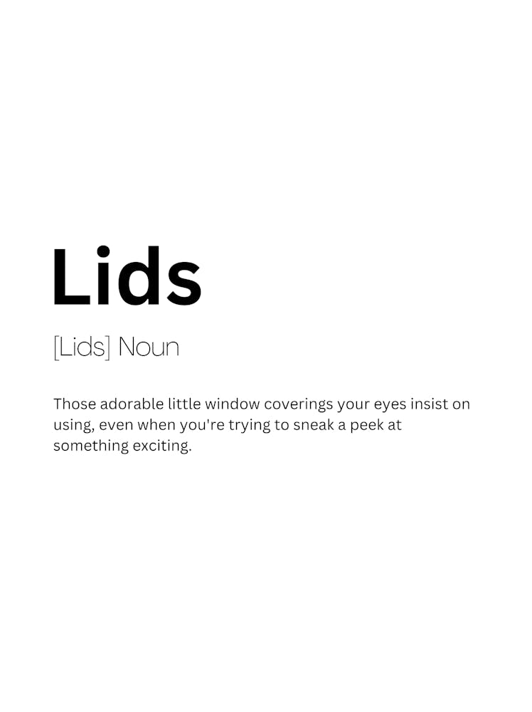 Lids Definition Meaning