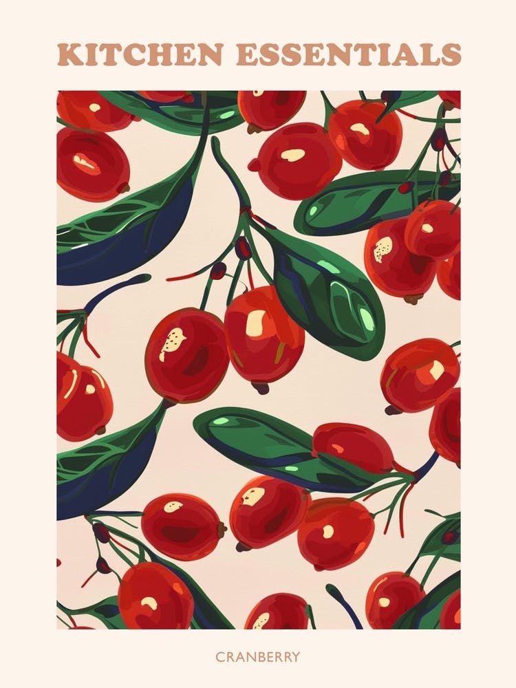 Cranberry Pattern Illustration Poster 3