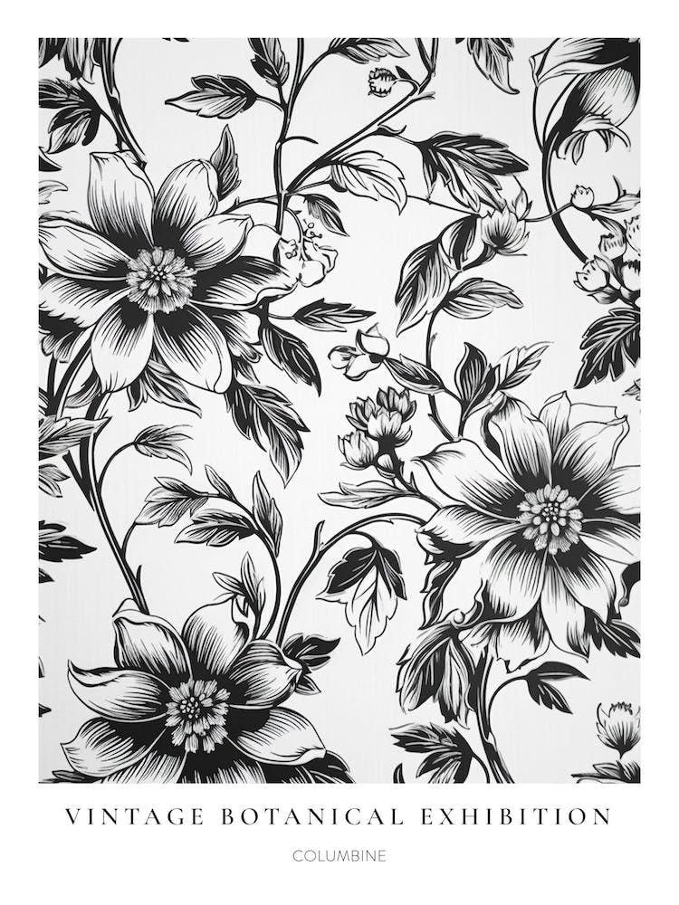 Columbine S/W Vintage Botanisches Poster