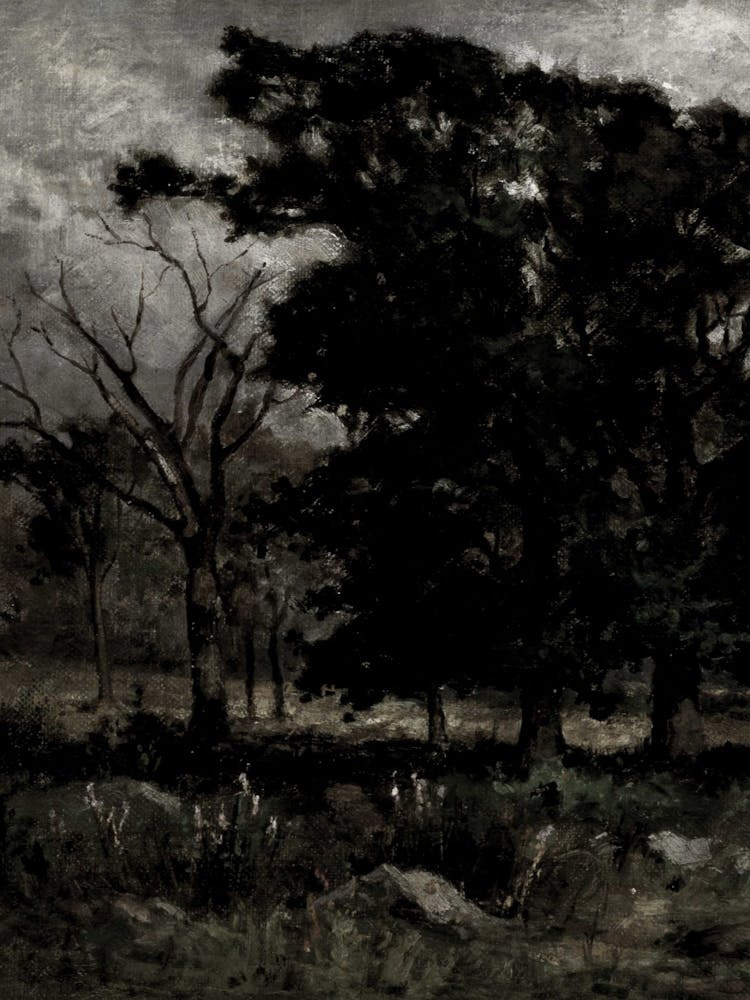 Grove Of Trees