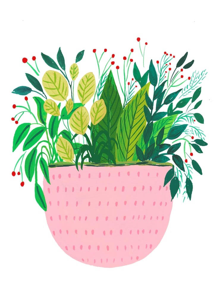 Pink Potted Plant