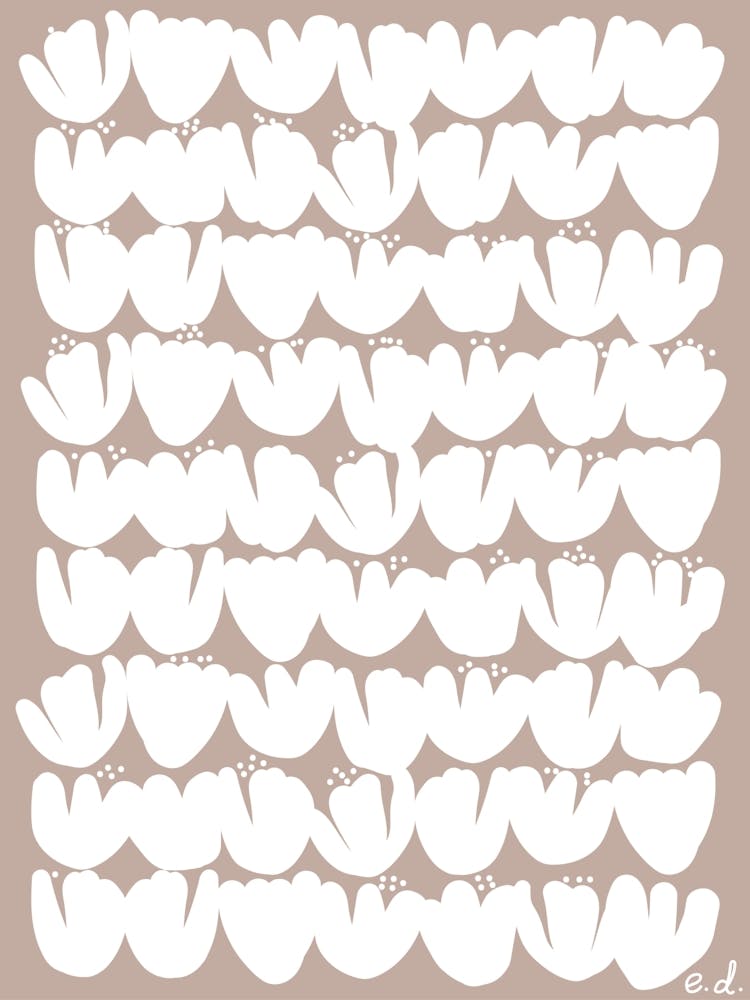 White Tulips