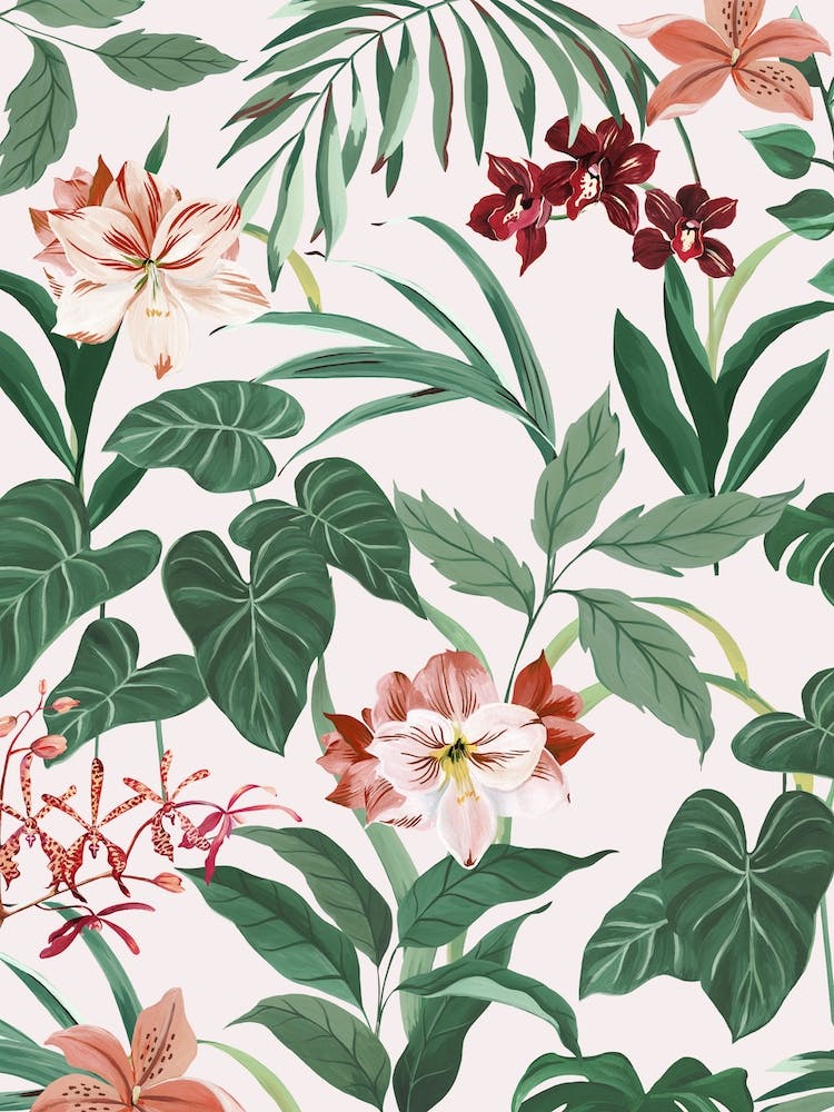 Tropical Flora