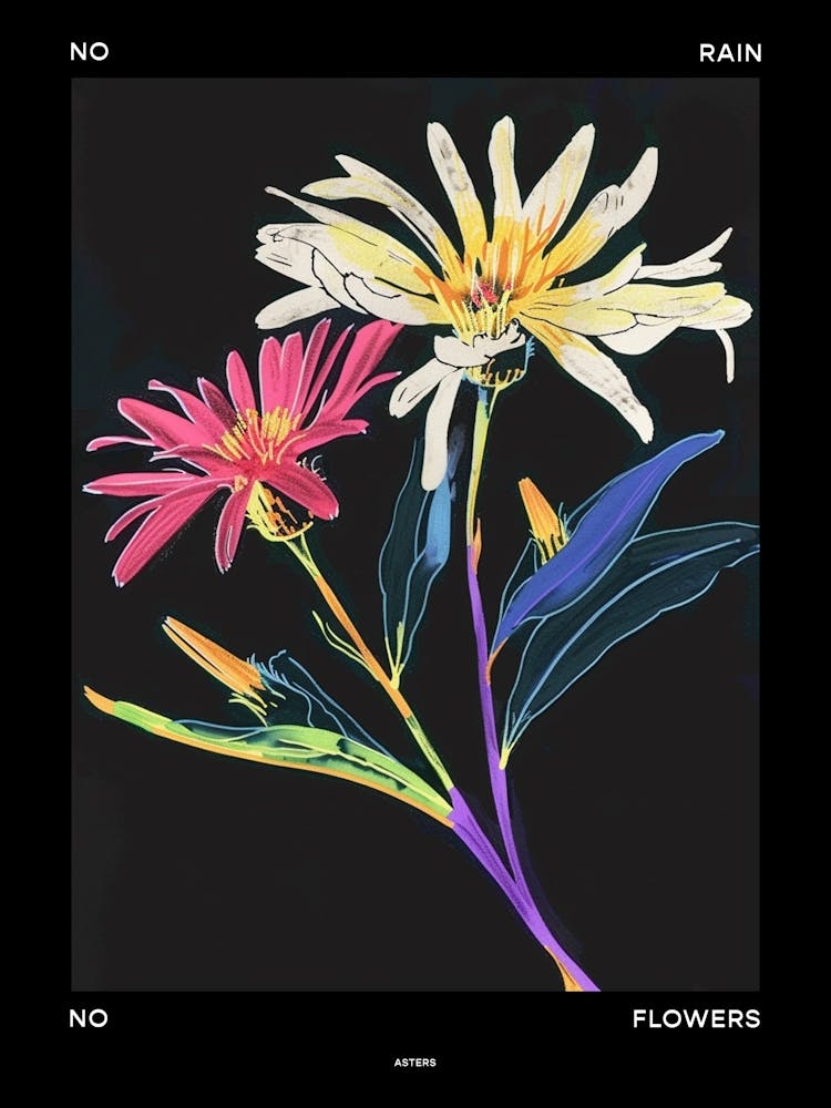 No Rain No Flowers Poster Asters 8