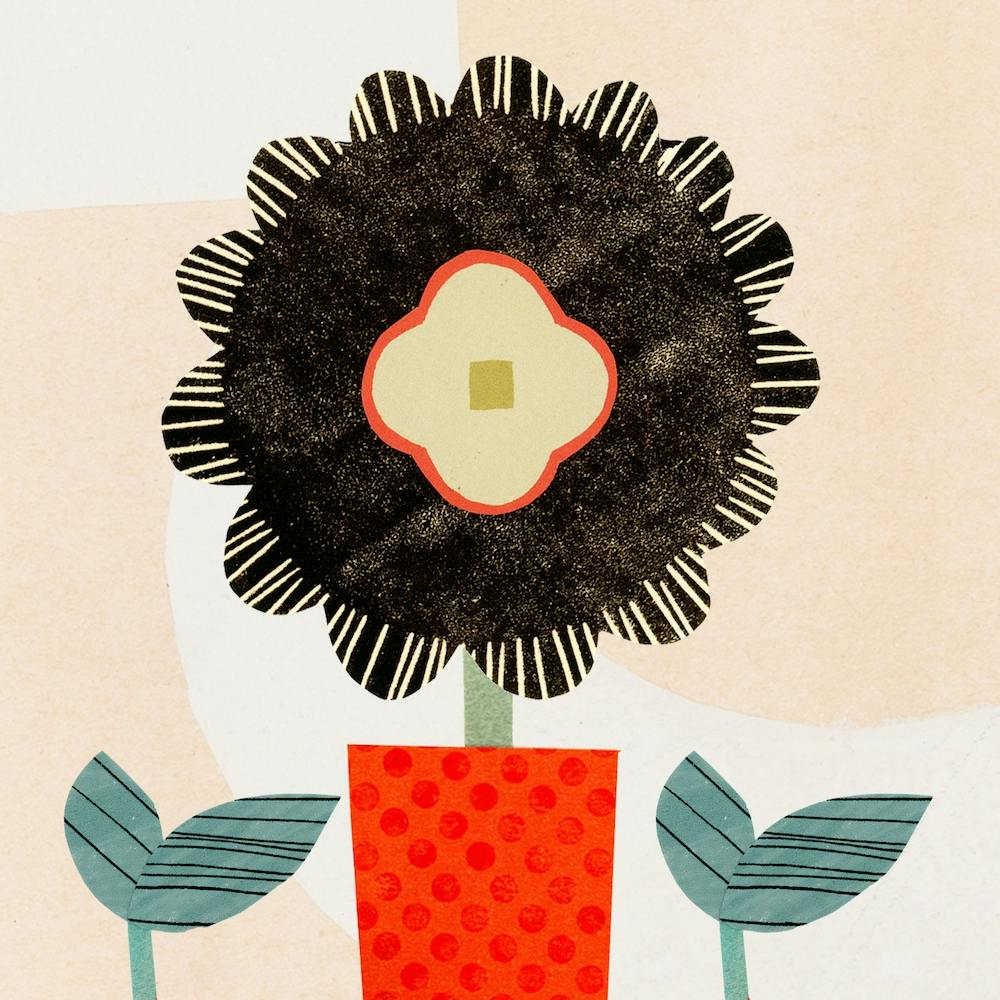 Flower In A Pot