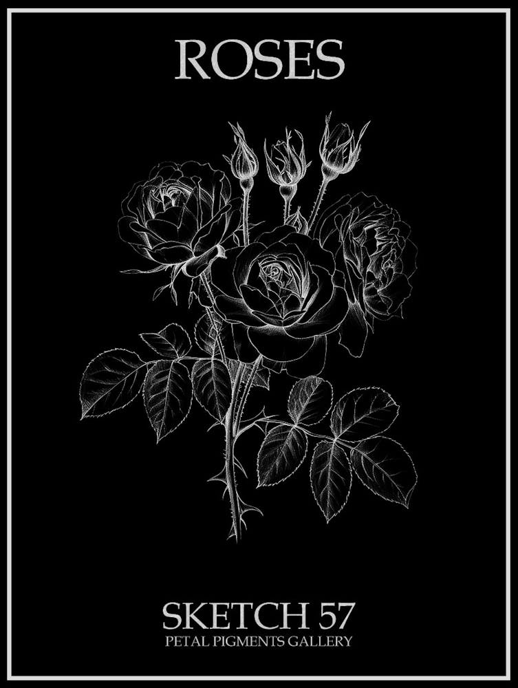 Roses Sketch 57 Poster Inverted