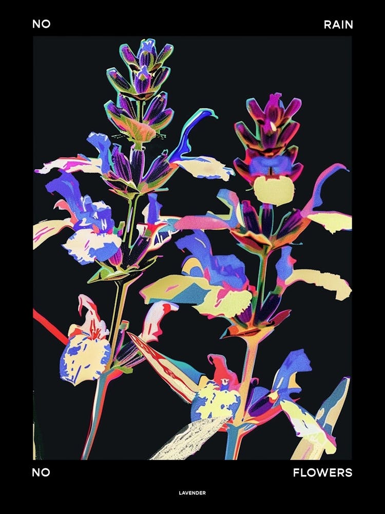 No Rain No Flowers Poster Lavender 3