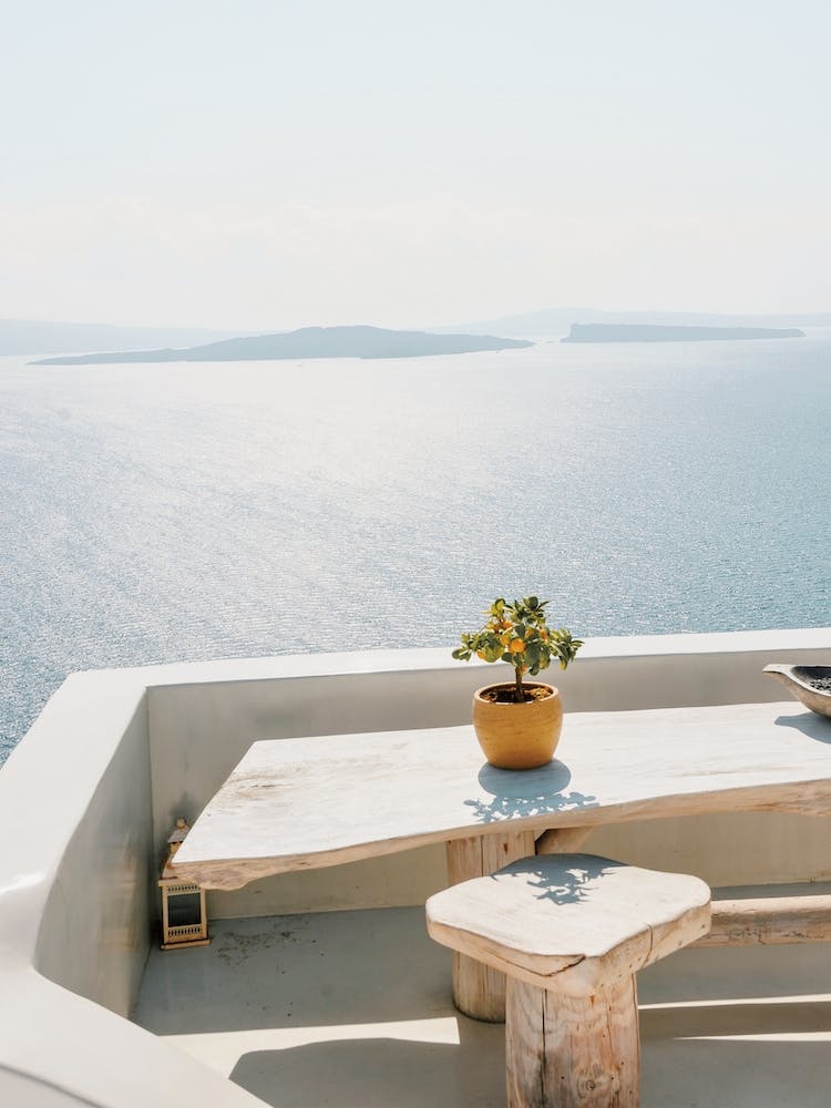 Santorini Orange Tree