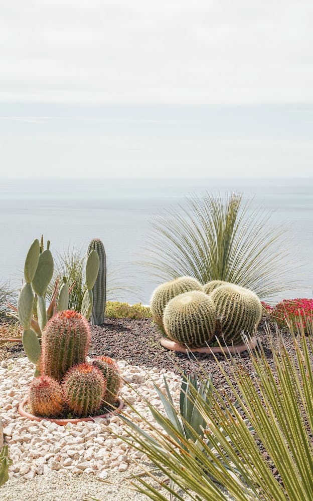 Jardin Botanique Au-dessus de la Mer