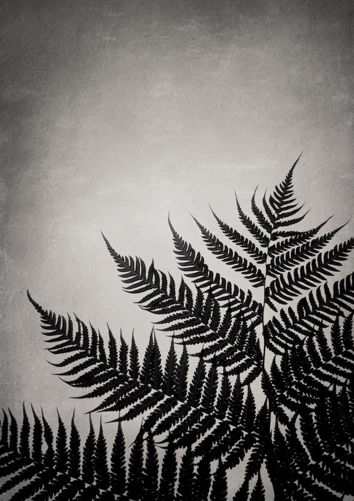 Mansion Of The Sky 3