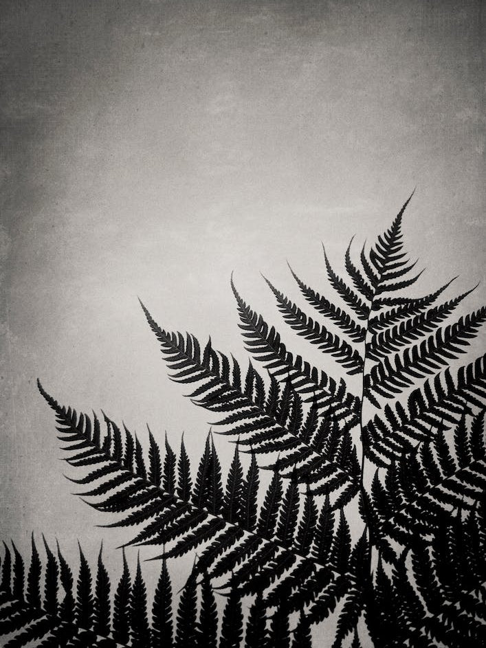 Mansion Of The Sky 3