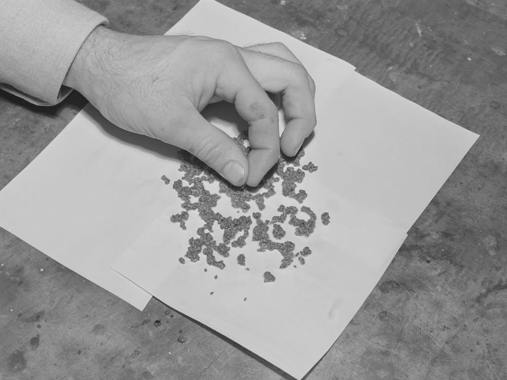 Salinas, California, Guayule Rubber Worms, The Form That The Rubber Assumes As The Bagasse Sinks To The