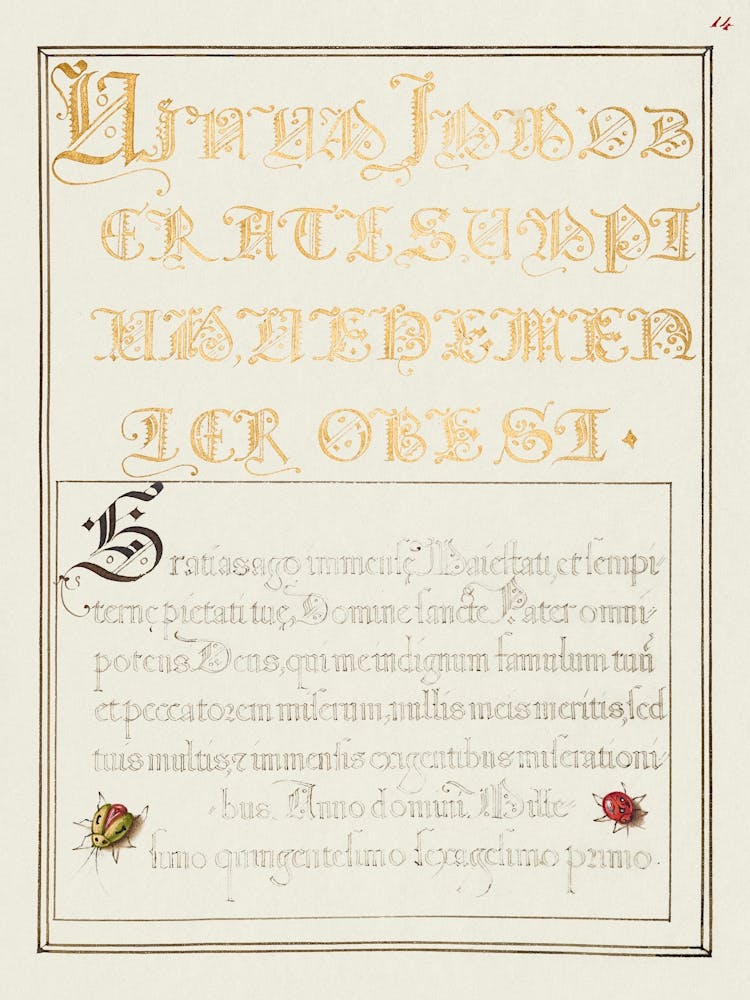 Beetlelike Insects From Mira Calligraphiae Monumenta, Joris Hoefnagel