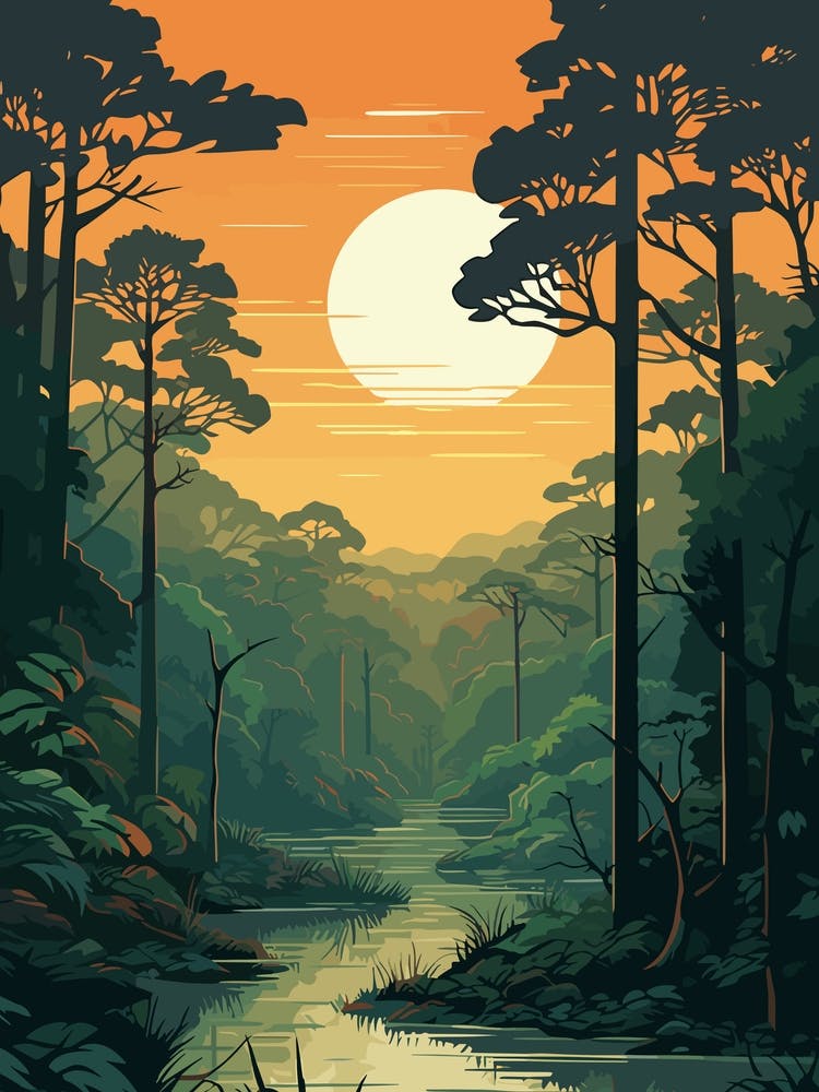 Sunset In The Jungle