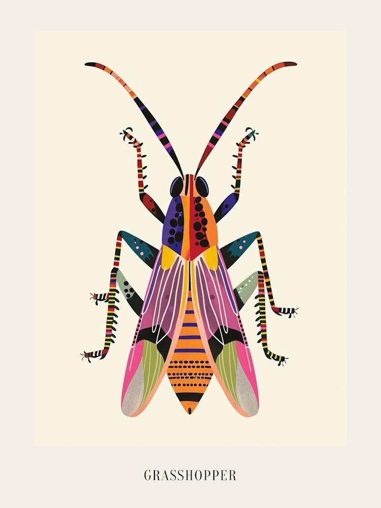 Colourful Insect Illustration Grasshopper 7 Poster