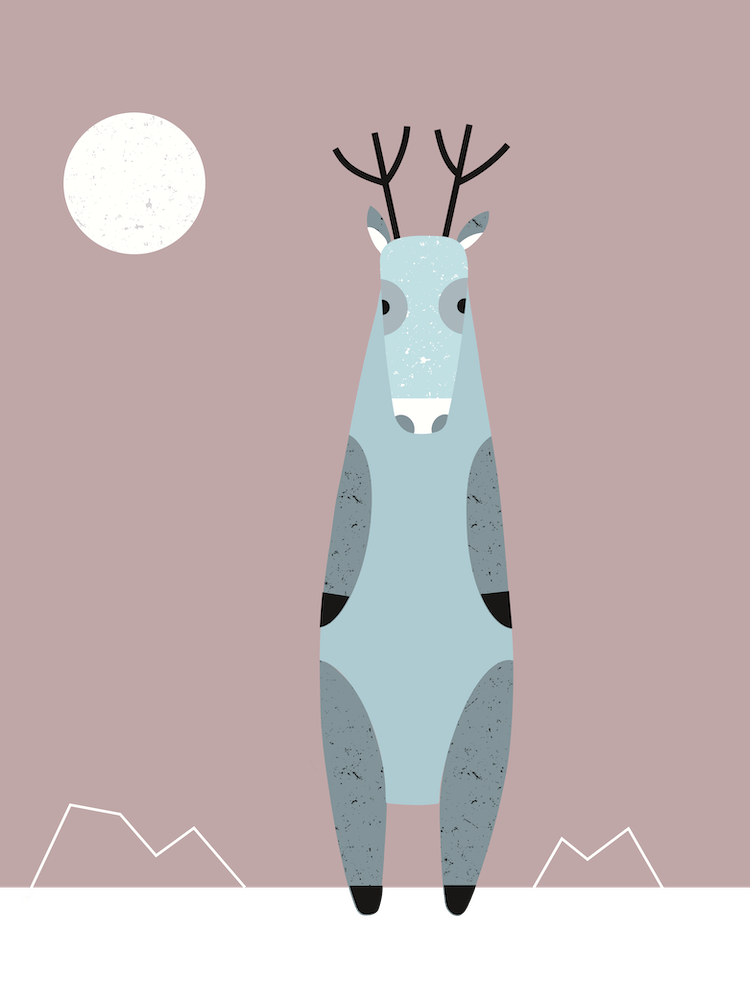 Reindeer in the Arctic at sunset - Arctic animals