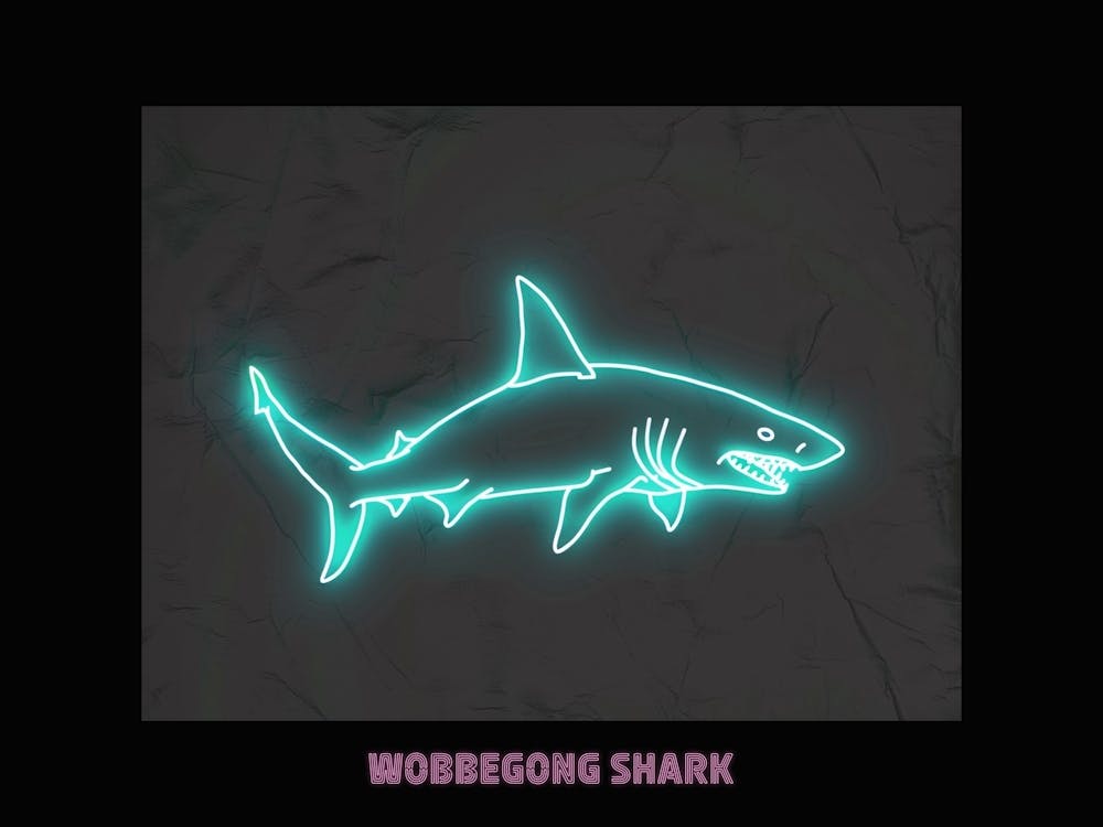Neon Pink Aqua Wobbegong Shark Poster 1