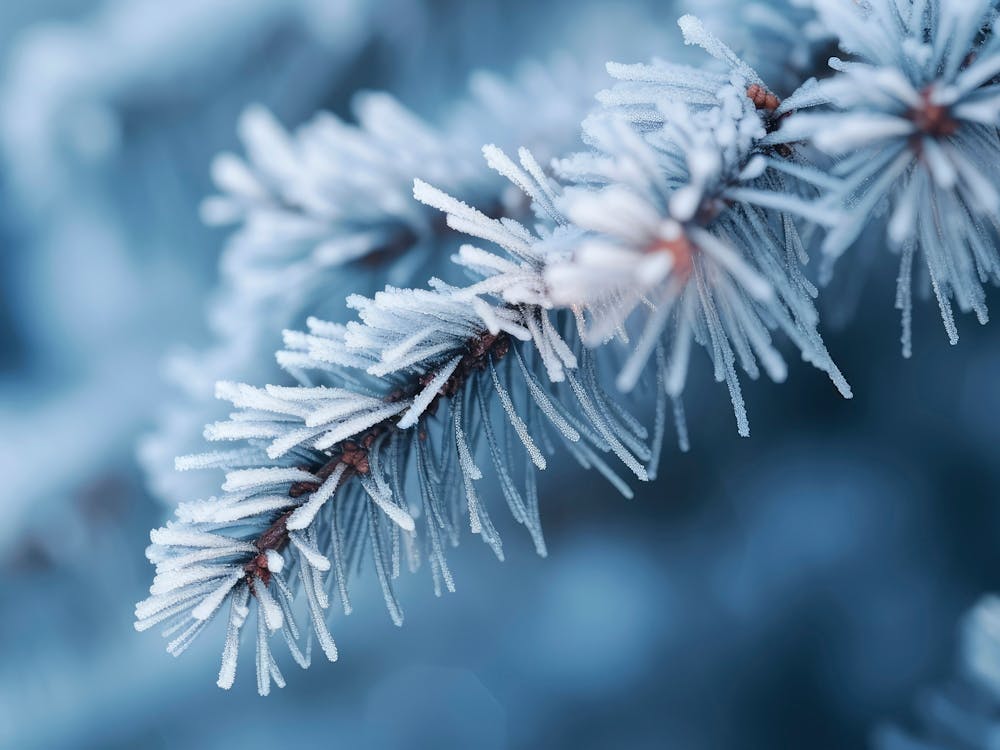 Winterimpressionen Nr. 8