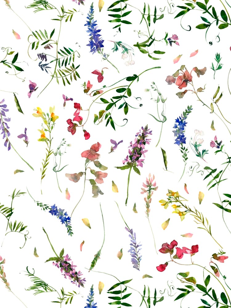 Midsummer  Meadow