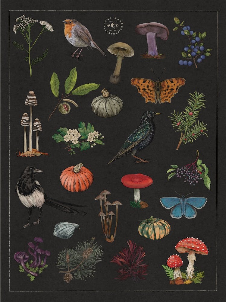 Autumn Fall Botanical Witchcore