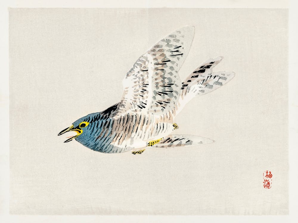 European Herring Gull, Kōno Bairei