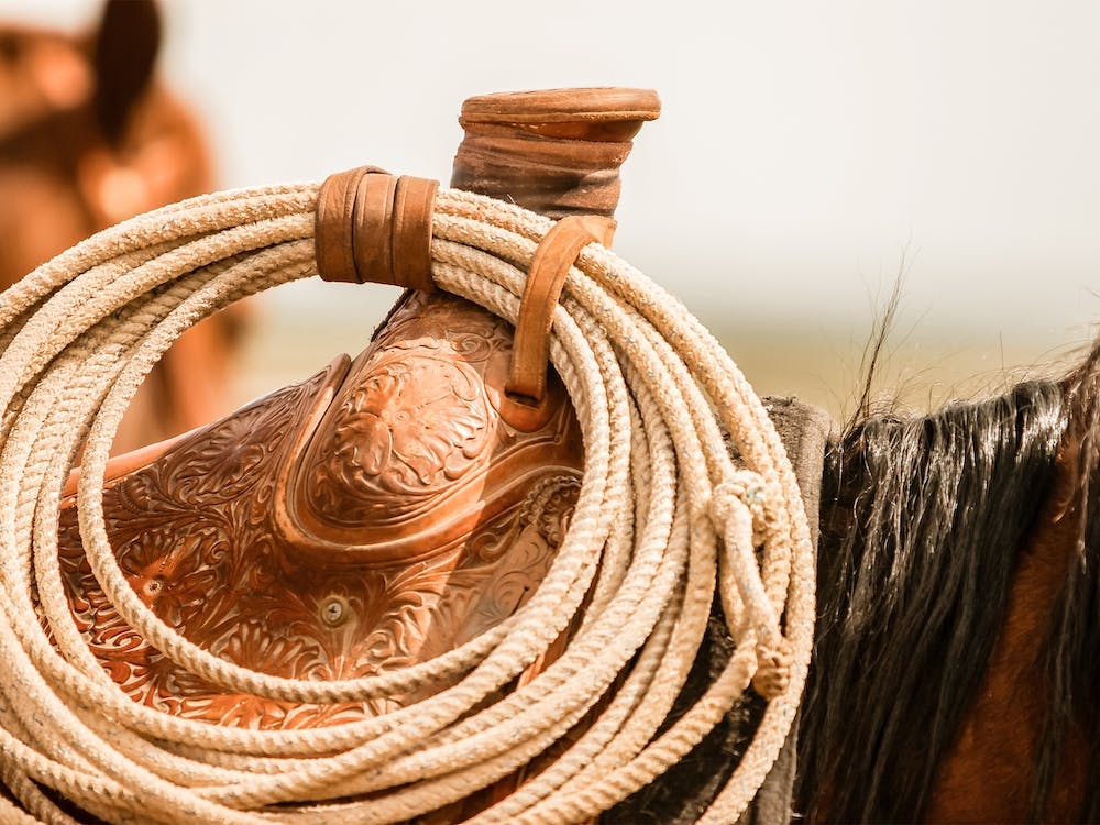 Roping Saddle