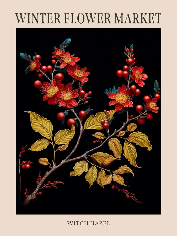 Witch Hazel 3 Winter Flower Market Poster