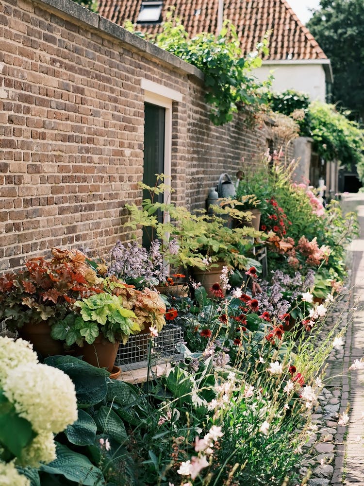 Street with Flowers iIn Elburg // The Netherlands // Travel Photography