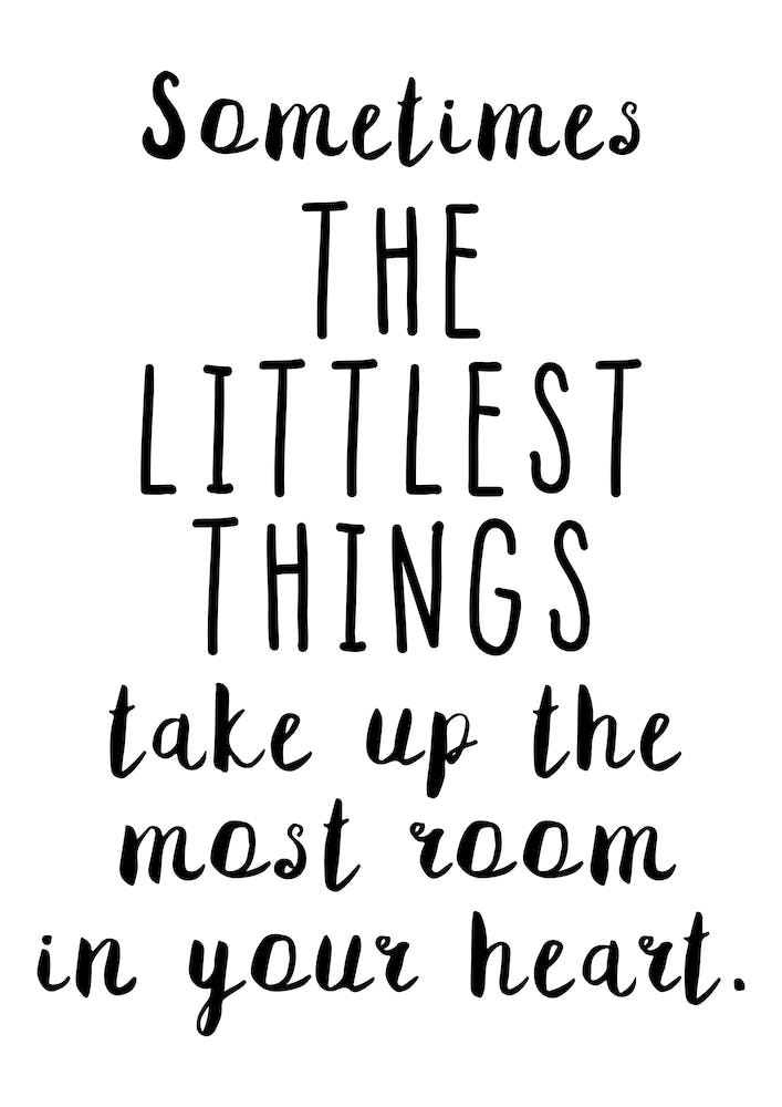 Sometimes The Littlest Things Take Up The Most Room