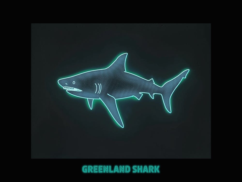 Neon Blue Greenland Shark 2 Poster