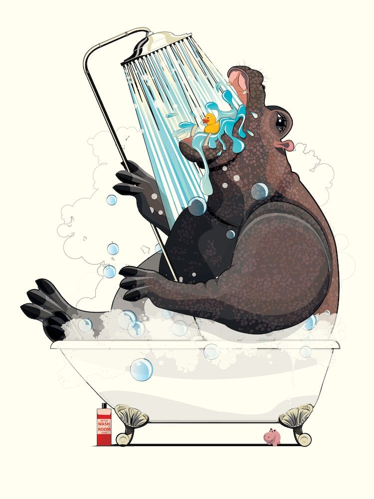 Hippo In The Shower