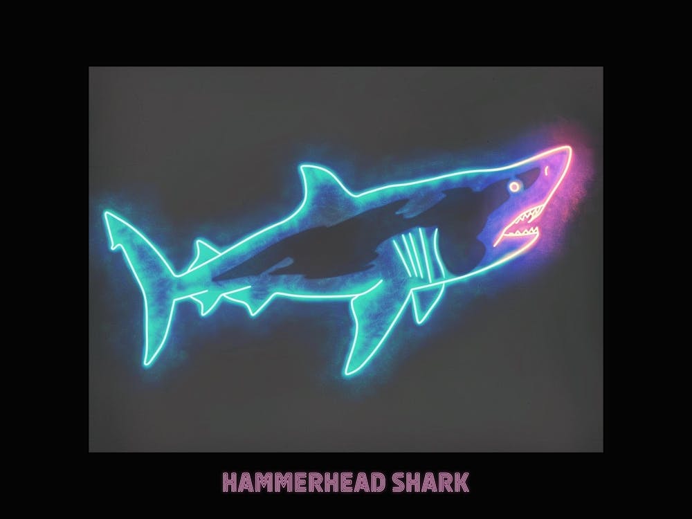 Grün Rosa Gefurchter Hammerhai Neon Hai Poster 1