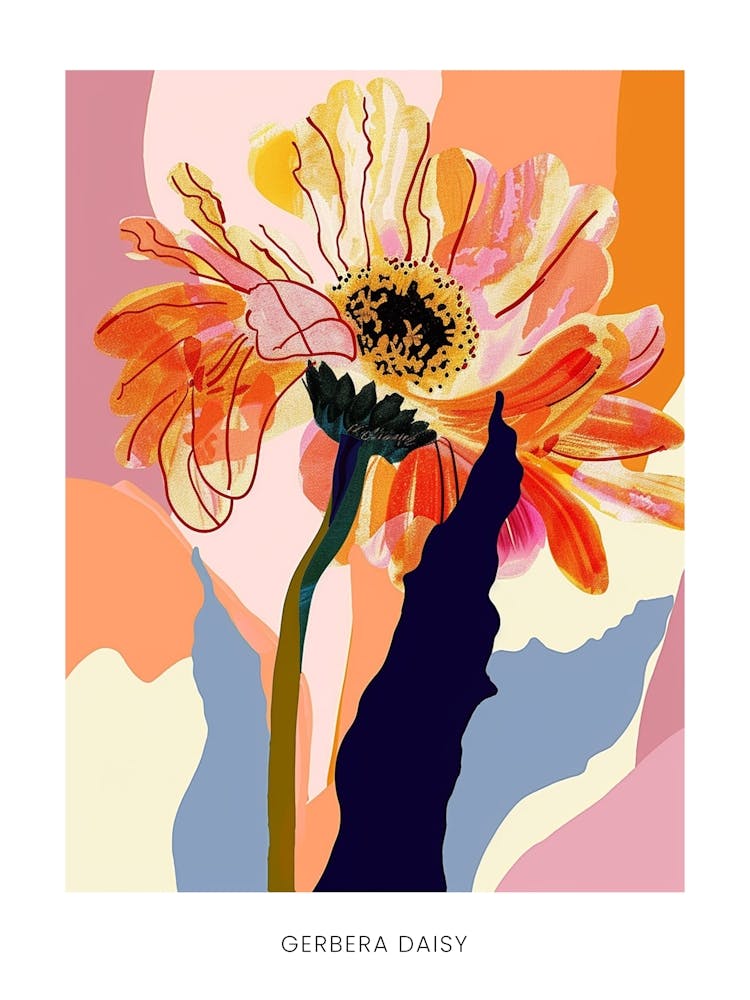 Colourful Flower Illustration Poster Gerbera Daisy 1