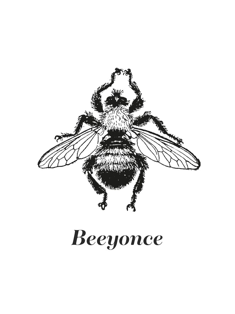 Beeyonce