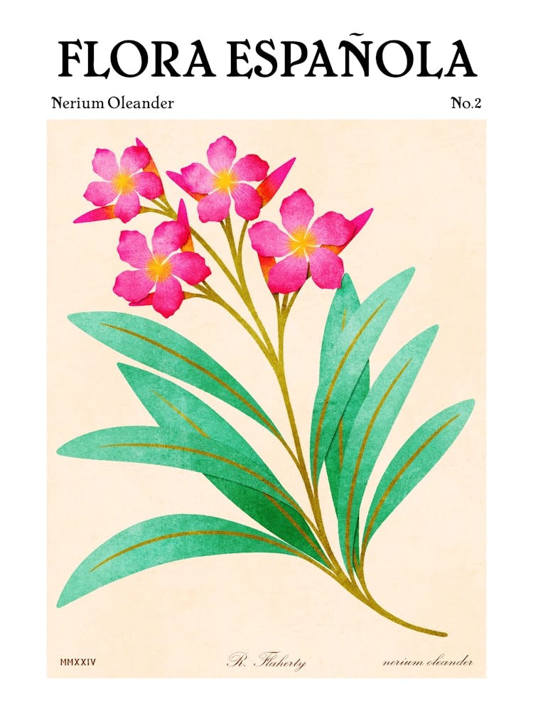 Spanish Flora Nerium Oleander