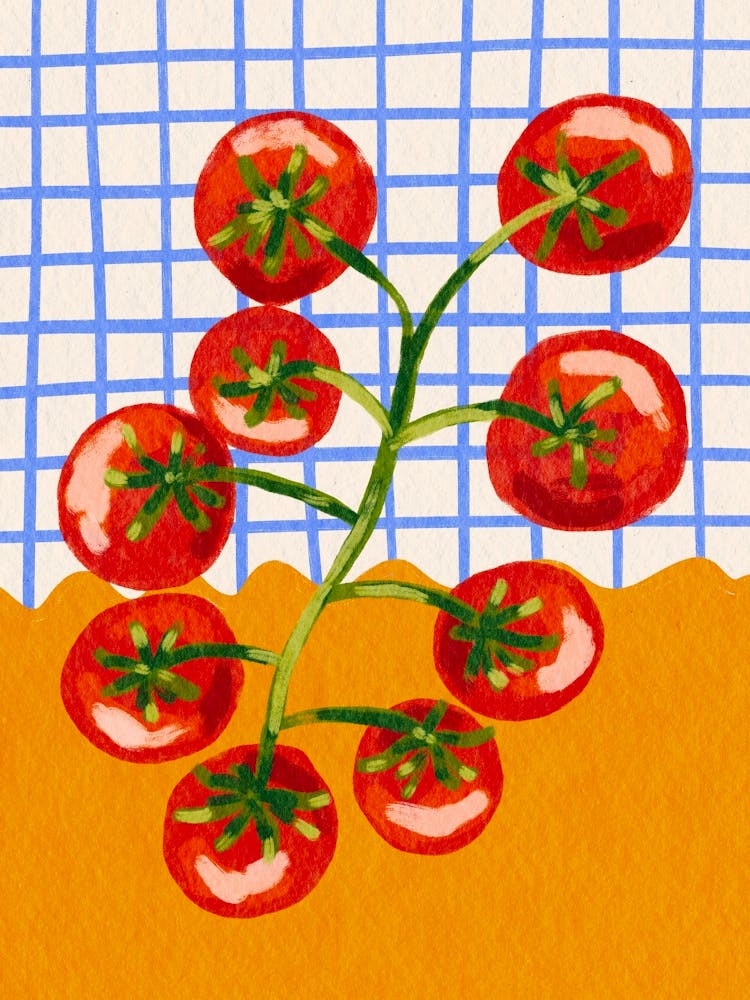 Tomatoes In The Garden