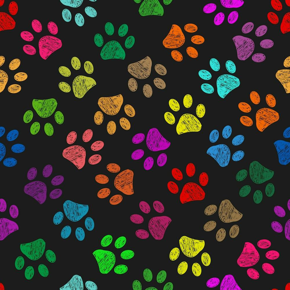 Empreintes de Pattes Gribouillées aux Couleurs Vives et Vibrantes