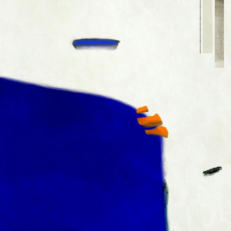 Simplicity And Vibrancy