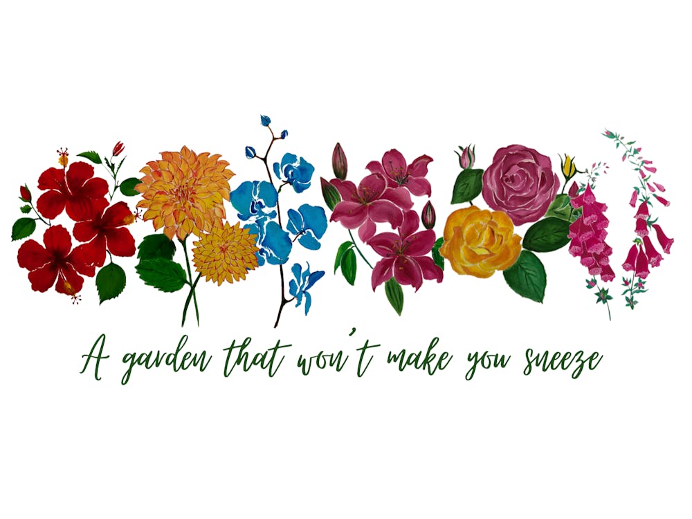 Garden that wont make you sneeze by DollyJ