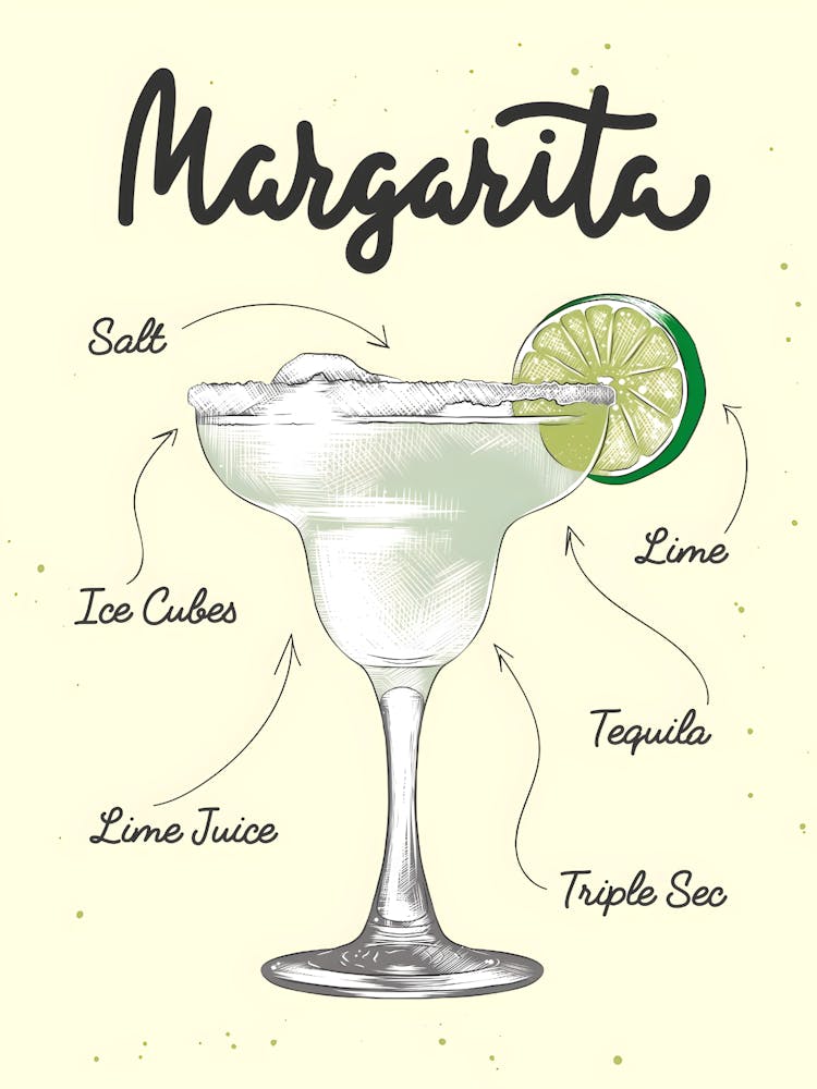Margarita Illustration