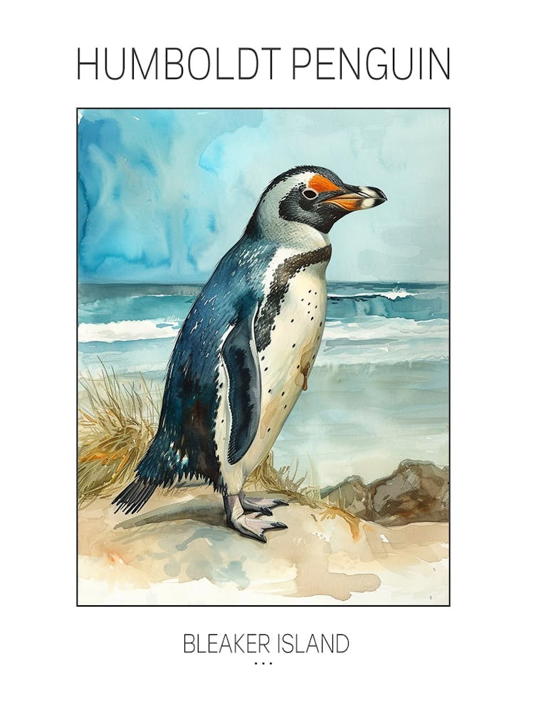Humboldt Penguin Bleaker Island Watercolour Painting 3 Poster