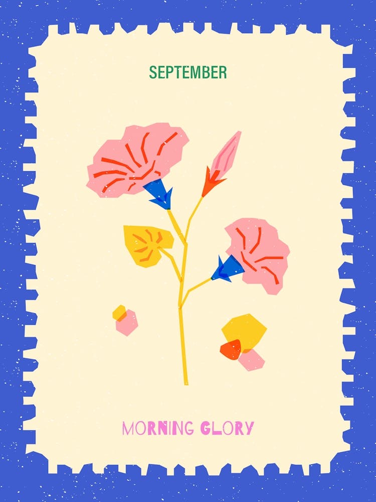 September Birthmonth Flower Morning Glory 1