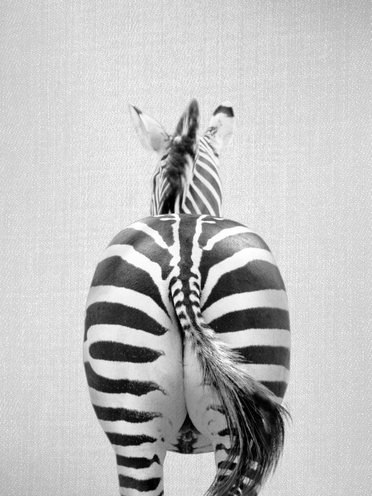 Zebra Tail - Black & White